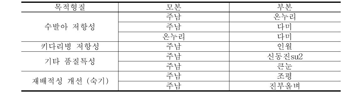 교배후대 세대진전 목록