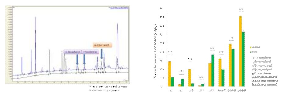 GC Chromatogram peak와 생태형별 Vitamin E 함량