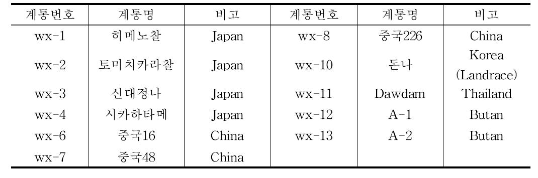 교배에 사용된 찰벼 유전자원