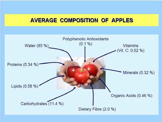 사과의 일반적인 성분 및 함량