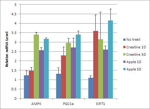 Gene expression level of apple pomace extract treated group