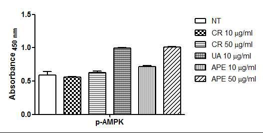 AMPK phosphorylation through apple pomace extract