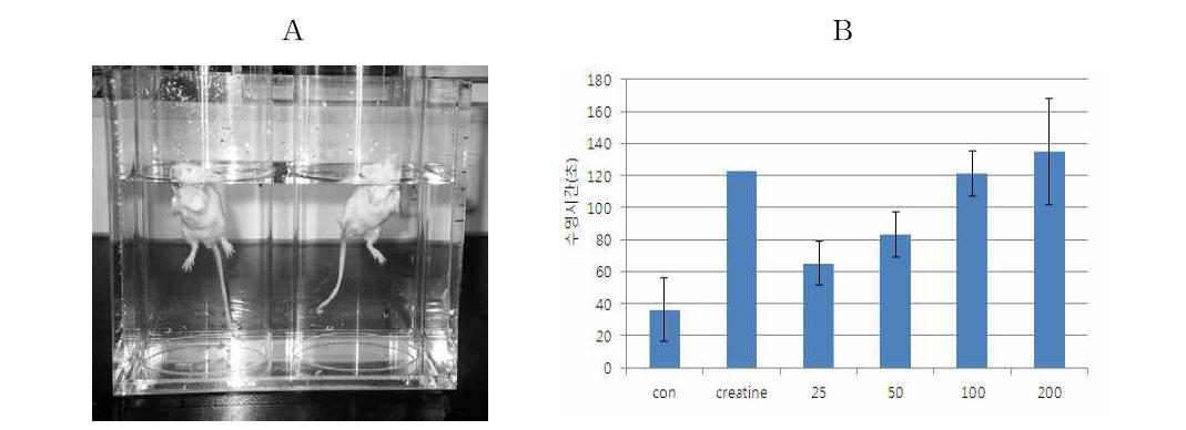 Effect of apple pomace extract on average forced swim time.A, example of forced swim test; B, average forced swim time