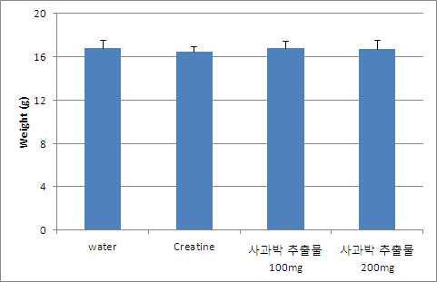 Initial weight measurement of experimental mouse