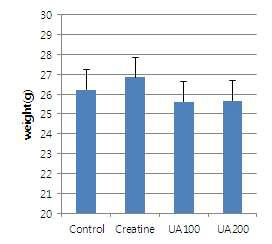 Measurement of average weight of experimental mouse after 12 weeks