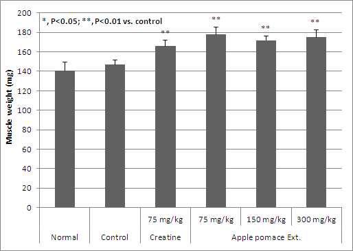 Effect of apple pomace extract on lower hindlimb soleus muscle weight