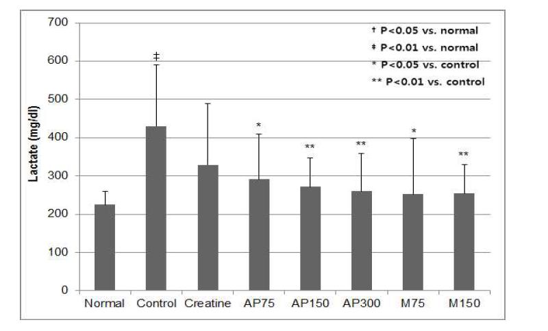 Serum lactate levels in treadmill tested groups