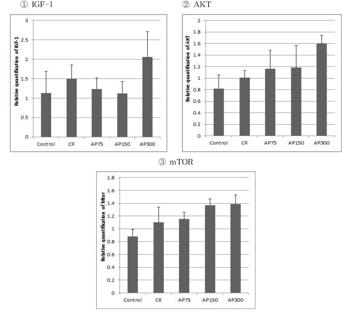 ①IGF-1, ②AKT, ③mTOR gene expression levels of treadmill test groups in skeletal muscle tissue