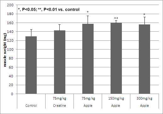 Effect of apple pomace extract on lower hindlimb soleus muscle weight