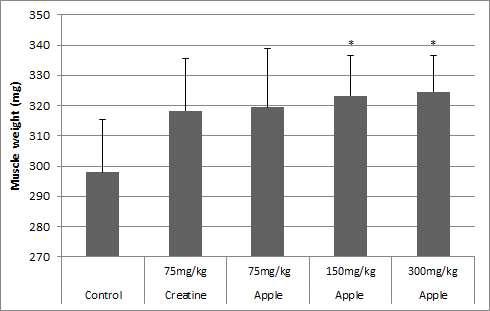 Muscle weight(mg) of forced swim test groups