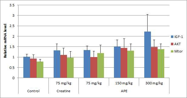 Gene expression levels of forced swim test groups in skeletal muscle tissue