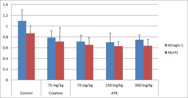 Gene expression levels of forced swim test groups in skeletal muscle tissue