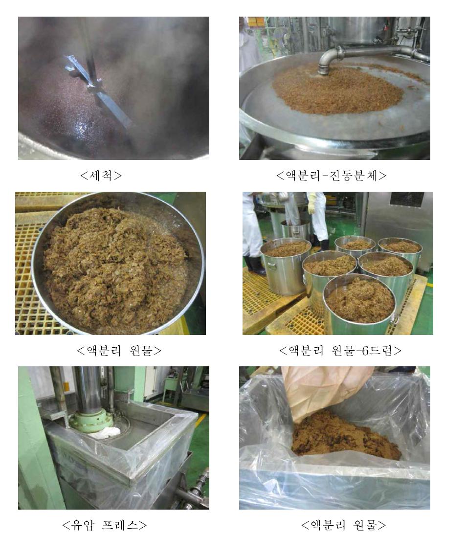 Pre-treatment step in production of apple peel extract powder