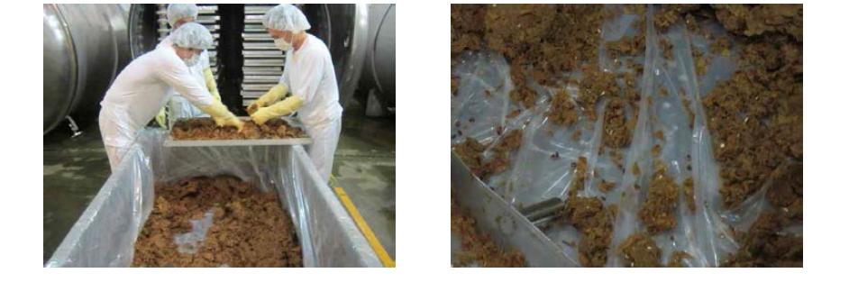 Vacuum Drying of pre-treatmented apple peel