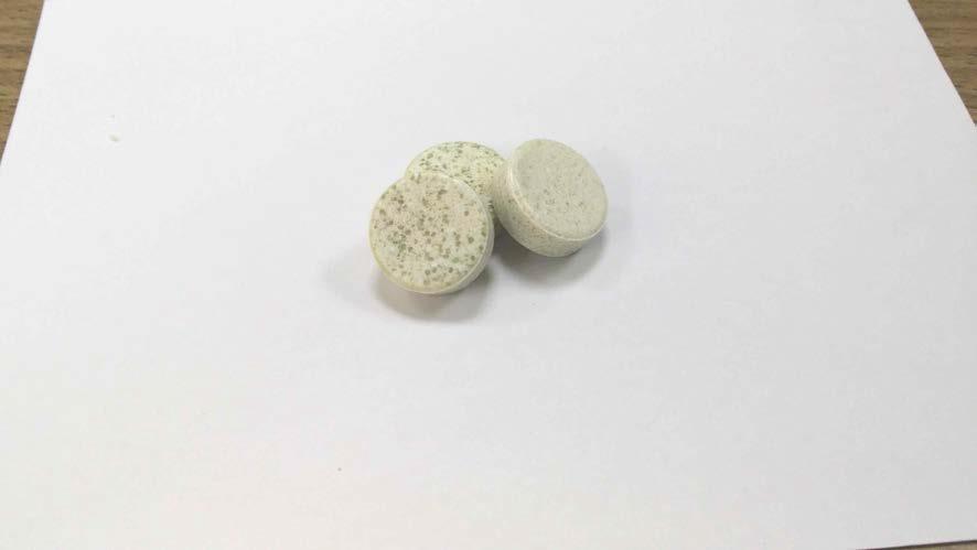 Prototype sample of chewable tablet