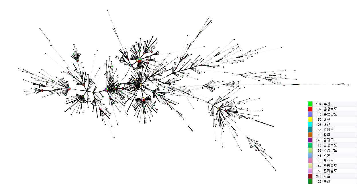 지역별 대상균주의 MIRU-VNTR type을 기준으로 24 loci에 대한 Minimum Spanning Tree