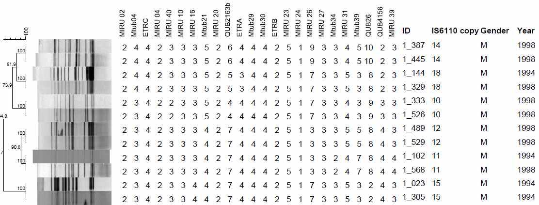 남성으로부터 분리한 6개의 IS6110-RFLP 및 MIRU-VNTR cluster