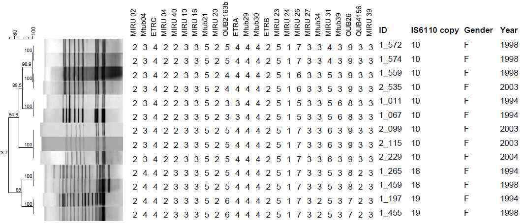 여성으로부터 분리한 6개의 IS6110-RFLP 및 MIRU-VNTR cluster