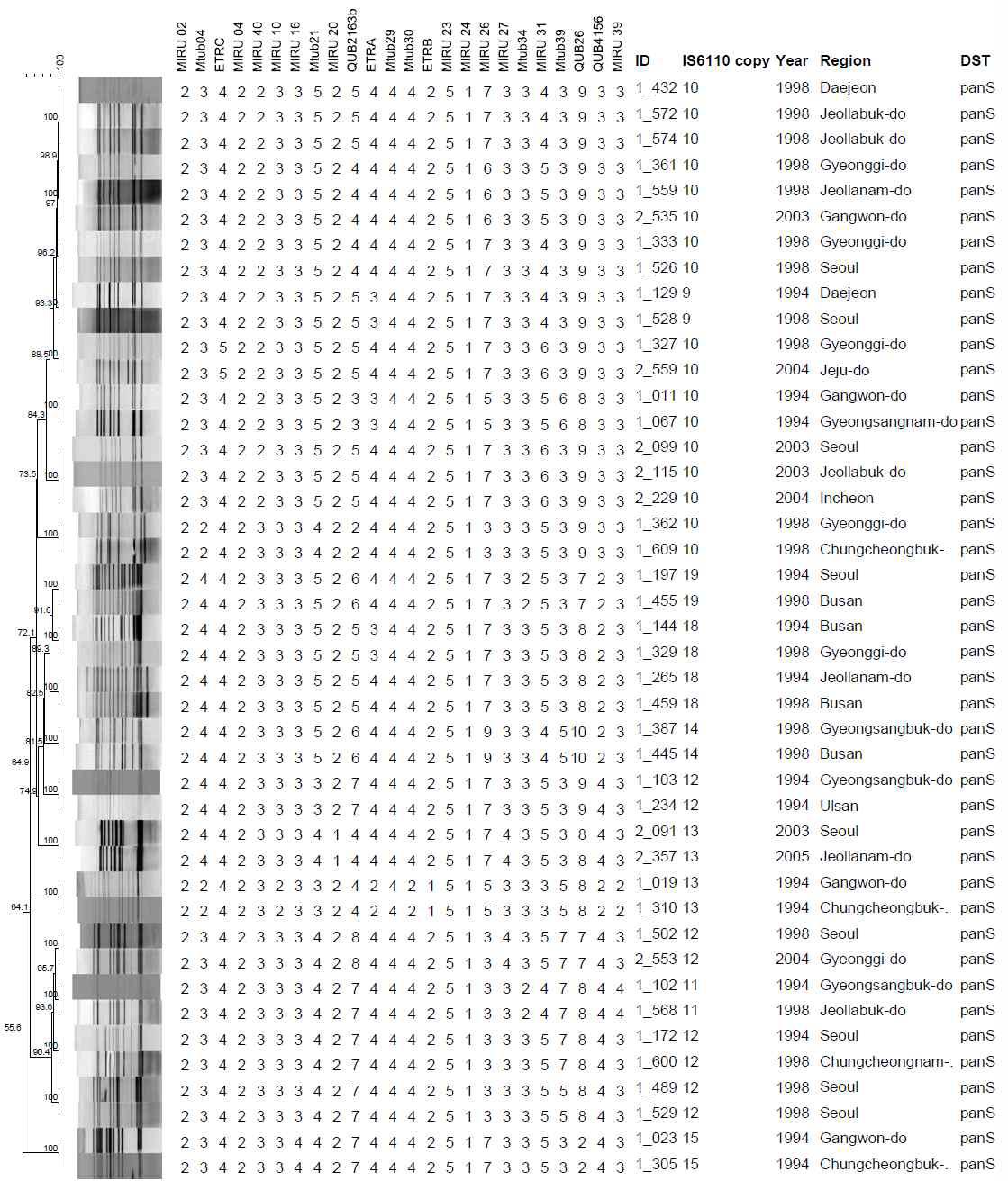 Pan-S 대상균주 20개의 IS6110-RFLP 및 MIRU-VNTR cluster