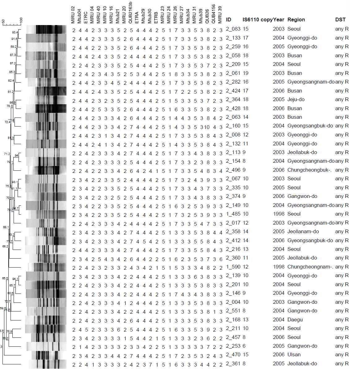 Any-R 대상균주 개의 IS6110-RFLP 및 MIRU-VNTR cluster