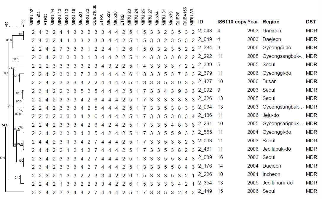 MDR 대상균주 2개의 MIRU-VNTR cluster