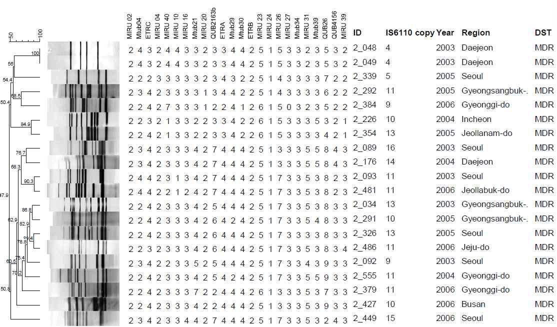 MDR 대상균주 1개의 IS6110-RFLP 및 MIRU-VNTR cluster