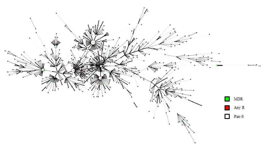 항결핵제 감수성별로 구분에 따른 MIRU-VNTR type을 기준으로 24 loci에 대한 Minimum Spanning Tree