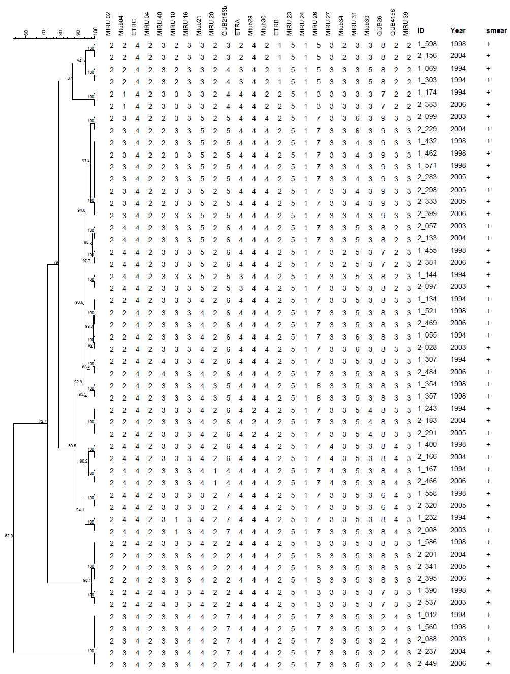 도말검사등급 1 Positive (+)로부터 20개의 MIRU-VNTR cluster