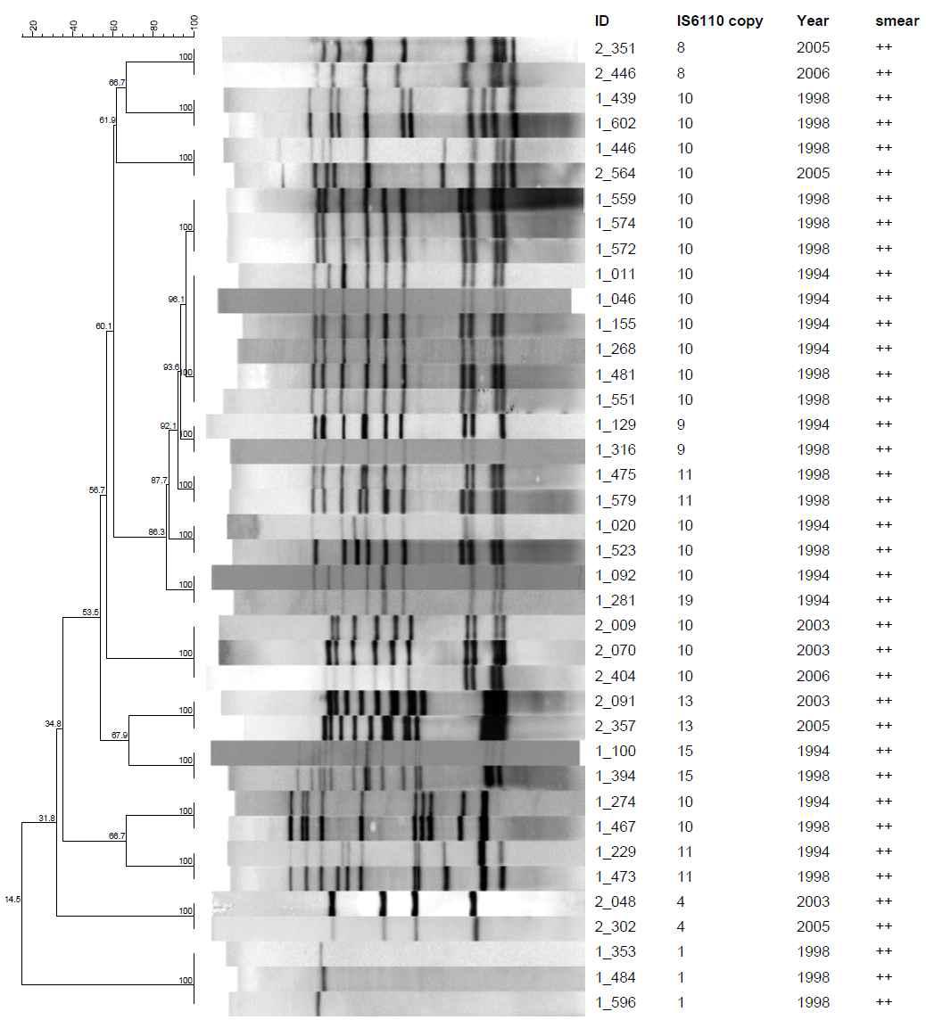 도말검사등급 2 Positive (++)로부터 16개의 IS6110-RFLP cluster