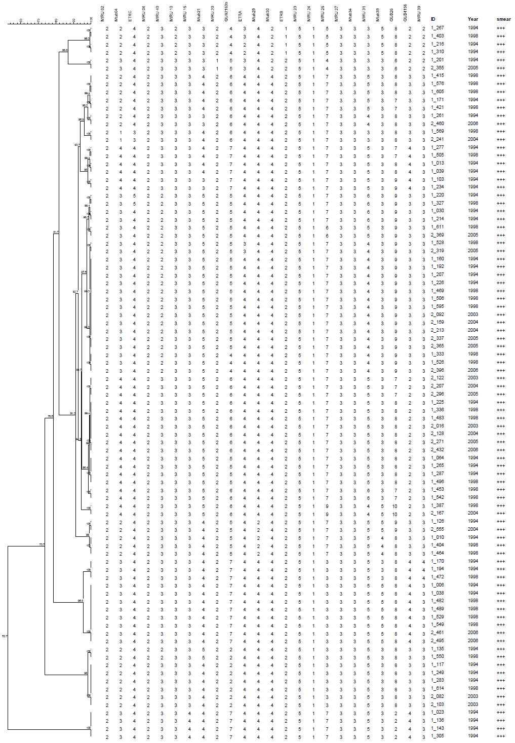 도말검사등급 3 Positive (+++)로부터 28개의 MIRU-VNTR cluster