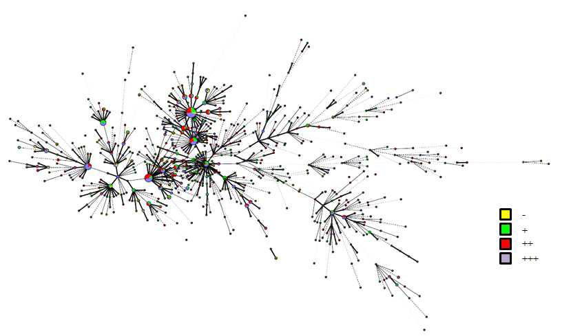 도말검사 등급에 따른 대상균주의 MIRU-VNTR type을 기준으로 24 loci에 대한 Minimum Spanning Tree