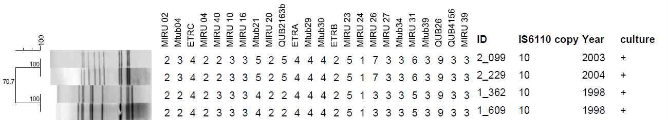 배양검사등급 1 Positive (+)로부터 2개의 IS6110-RFLP 및 MIRU-VNTR cluster