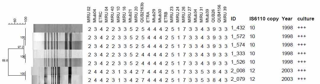 배양검사등급 3 Positive (+++)로부터 3개의 IS6110-RFLP 및 MIRU-VNTR cluster