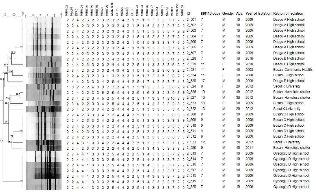 Outbreak로부터 분리한 3개의 IS6110-RFLP 및 MIRU-VNTR cluster