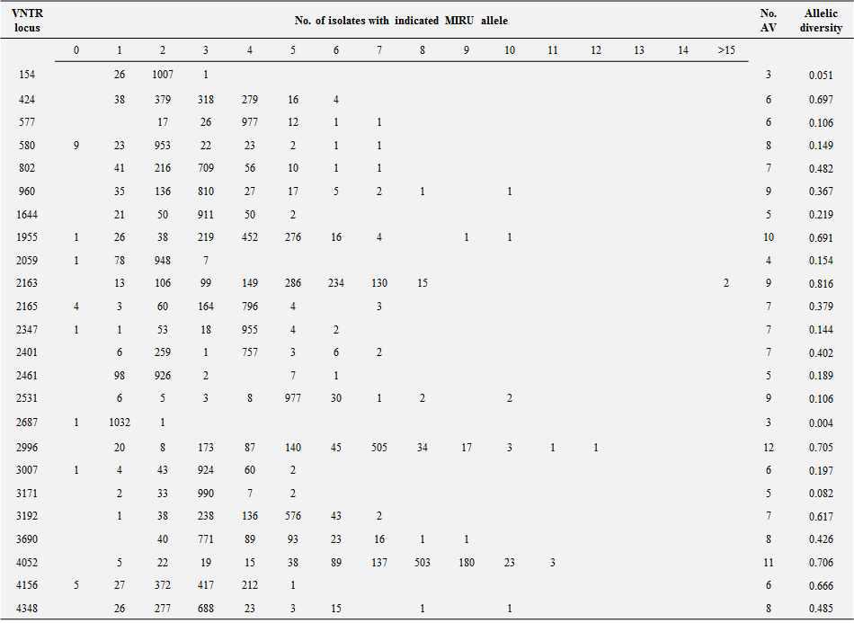 24 Mycobacterium tuberculosis VNTR loci의 Allelic diversity