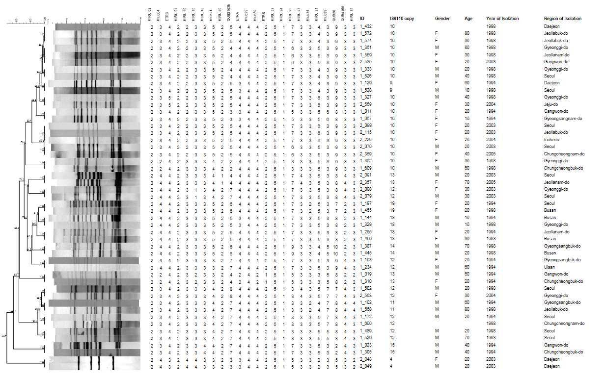 IS6110 RFLP 와 MIRU-VNTR pattern 이 100% 일치하는 23의 cluster