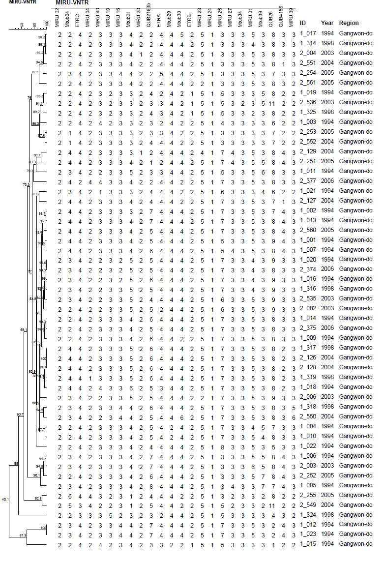 강원도 대상균주 2개의 MIRU-VNTR cluster