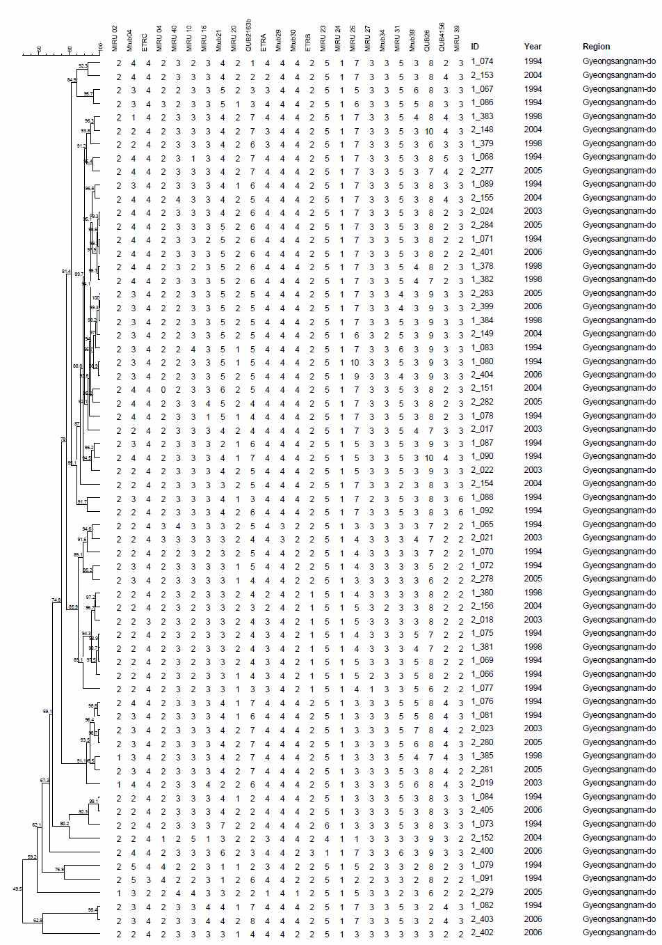경상남도 지역에서 분리한 1개의 MIRU-VNTR cluster