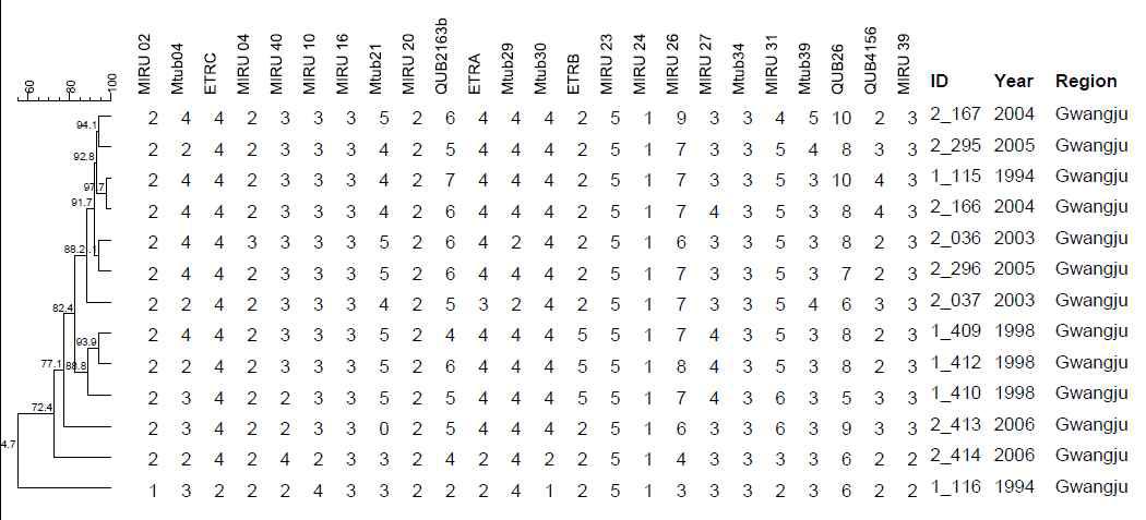 광주 지역에서 분리한 대상균주의 MIRU-VNTR pattern