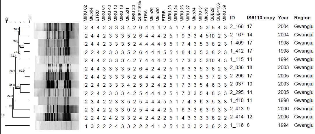 광주 지역에서 분리한 대상균주의 IS6110-RFLP 및 MIRU-VNTR pattern