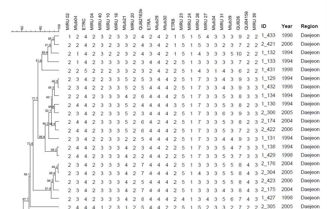 대전 지역에서 분리한 1개의 MIRU-VNTR cluster