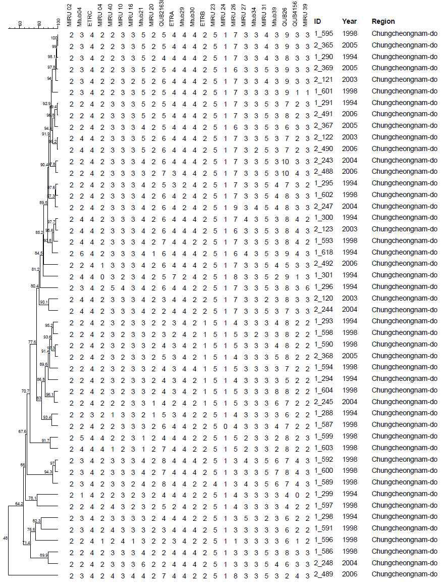 충청남도 지역에서 분리한 1개의 MIRU-VNTR cluster