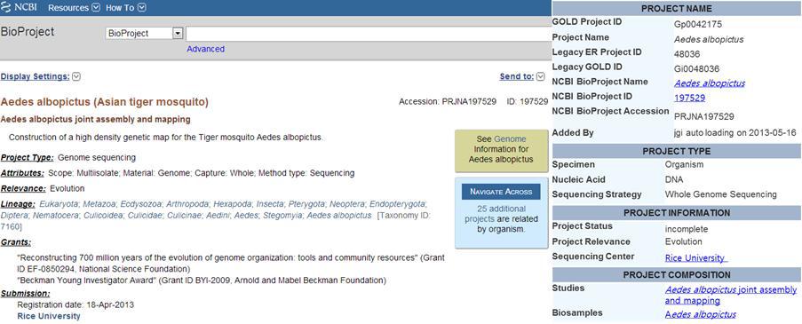 Aedes albopictus genome project 현황