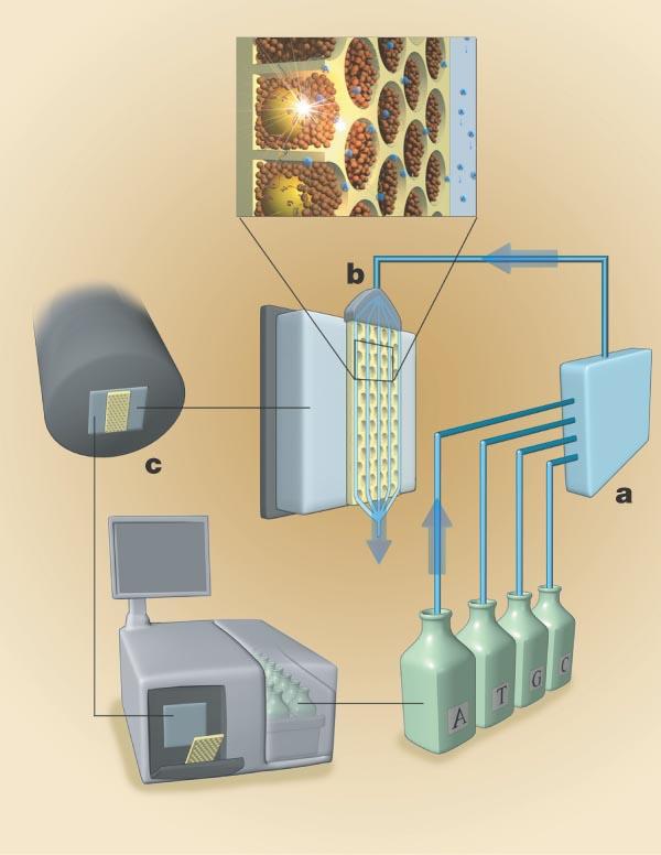 The sequencing instrument consists of the following major subsystems.