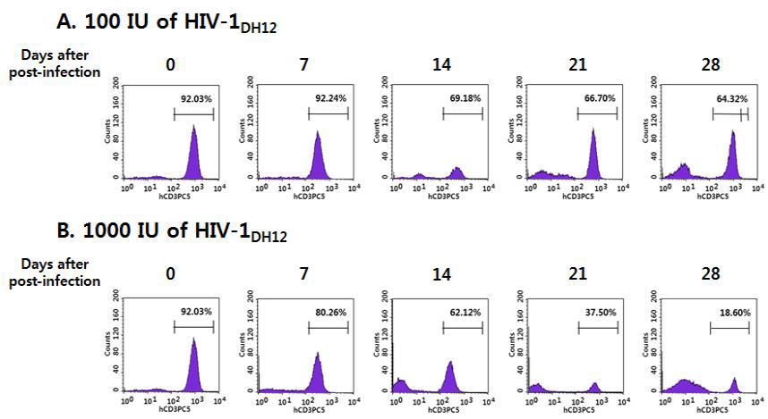 Dual-tropic HIV-1DH12의 dose에 따른 humanized NSG mice 혈액에서의 시간별 human CD3+ T 세포들의 분포 변화.