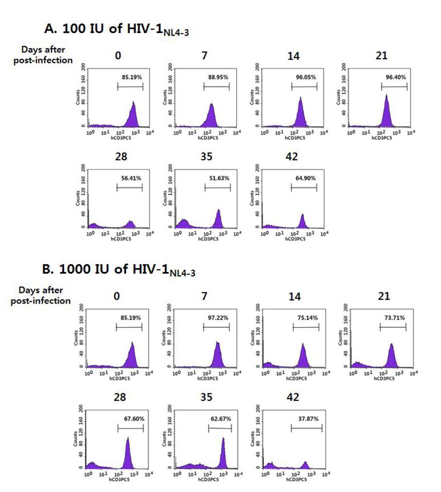 X4-tropic HIV-1NL4-3의 dose에 따른 humanized NSG mice 혈액에서의 시간별 human CD3+ T 세포들의 분포 변화