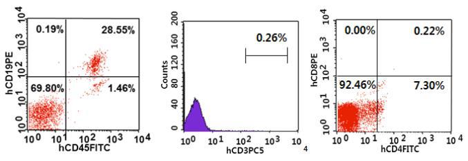 Human CD34+ HSC을 이식 후 23주 경과된 5번 NSG mice 혈액내 multi-lineage cell differentiation 평가