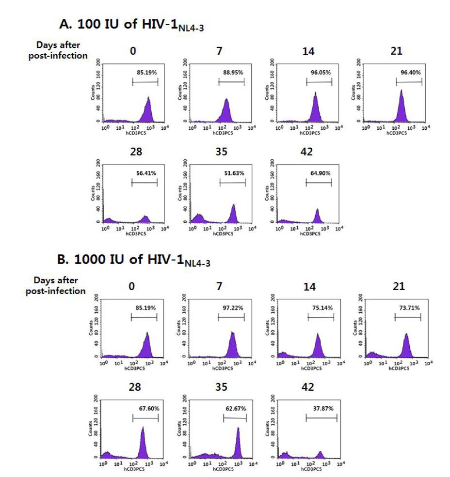 X4-tropic HIV-1NL4-3의 dose에 따른 humanized NSG mice 혈액에서의 시간별 human CD3+ T 세포들의 분포 변화.