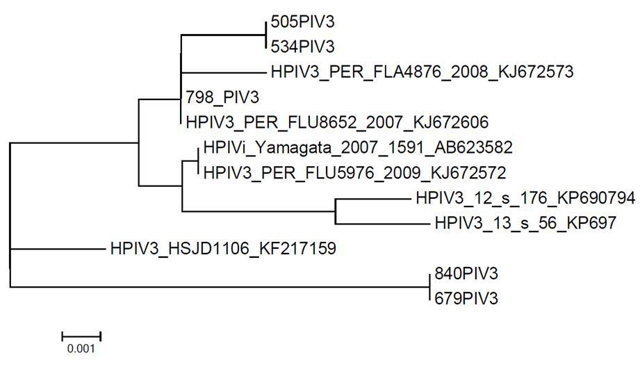 PIV 3의 계통발생학적 분석.