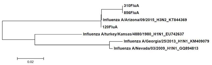 Influenza A virus H3N2 M2 protein 유전자의 계통발생학적 분석.